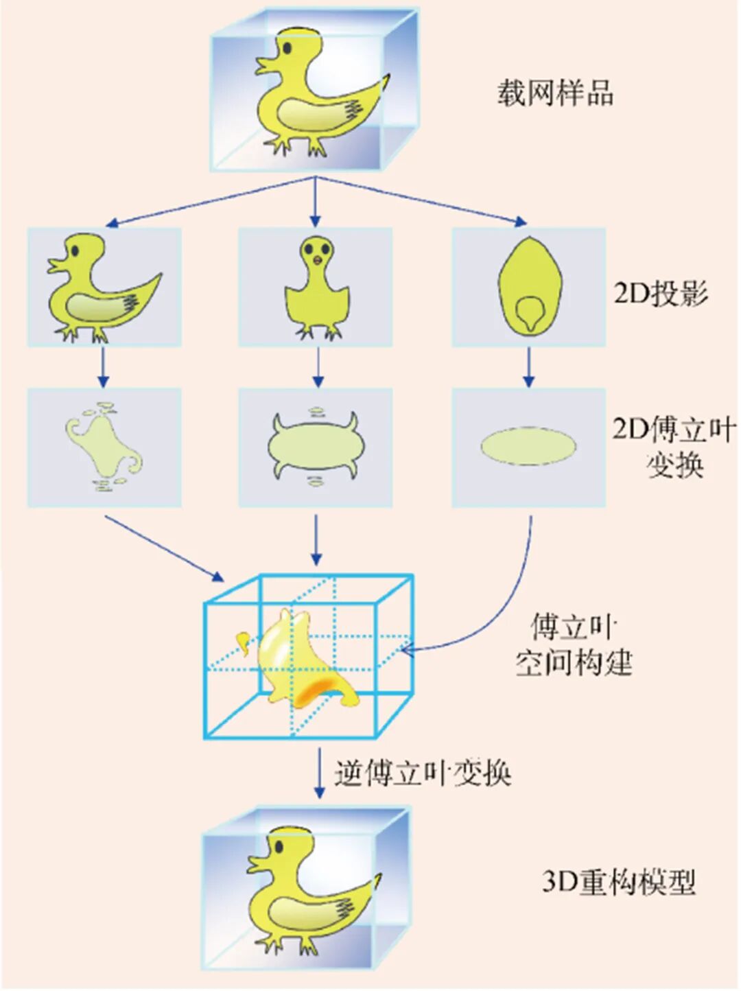 TEM电子衍射和花样标定教程