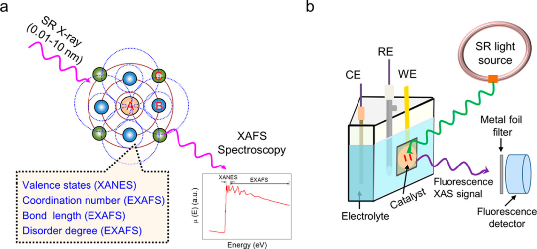 从原子到反应：同步辐射XAFS与多技术协同如何揭示催化活性位点的动态本质？