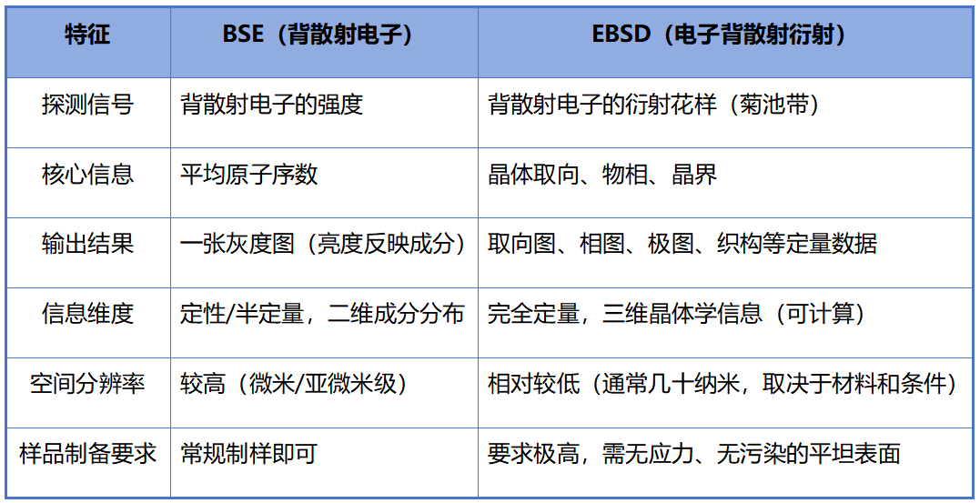 什么是SEM？扫描电子显微镜的原理、结构、发展与应用全解析