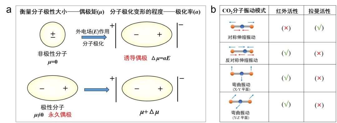 拉曼光谱及其在电化学能源中的应用