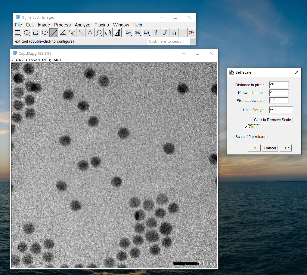 Image J处理电镜图像——颗粒长度测量和统计