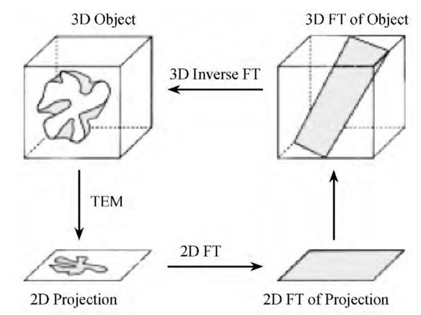 TEM 三维重构：技术流程 + 材料表征实例，解锁纳米尺度新视角