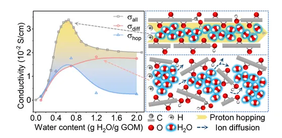 什么是电子隧穿和质子隧穿？