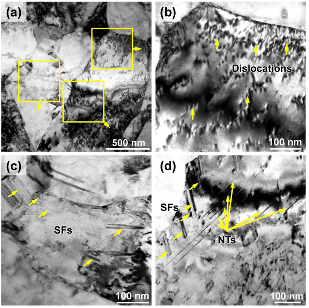 TEM文献案例分享：均匀纳米晶不锈钢实现27%均匀延伸率