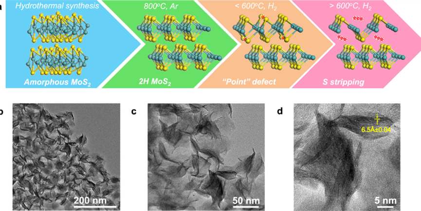 硫空位（SV）的定义、结构、构筑策略、表征以及若干应用的介绍