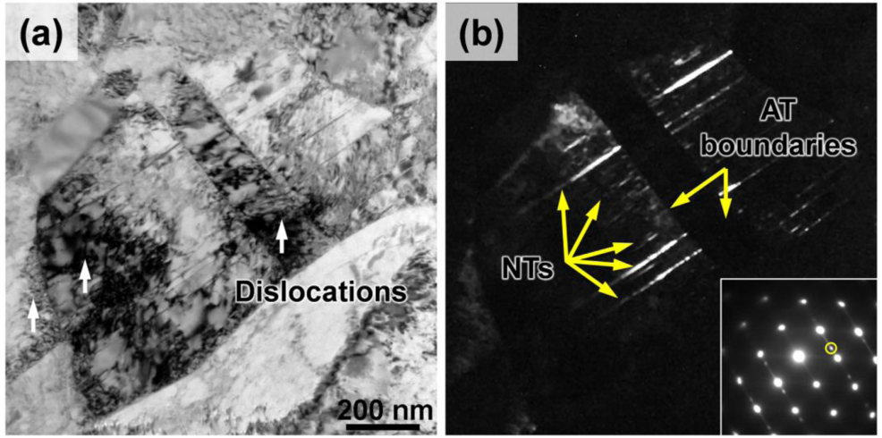 TEM文献案例分享：均匀纳米晶不锈钢实现27%均匀延伸率