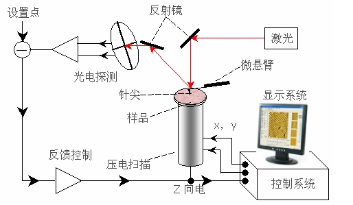 科研干货——原子力显微镜