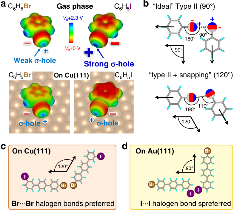 静电势：从物理意义到计算流程与应用