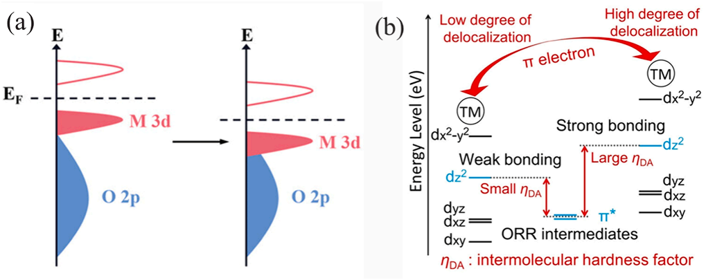 什么是分子轨道？从基础概念（LCAO / 键级）到催化应用（ORR / 单原子）