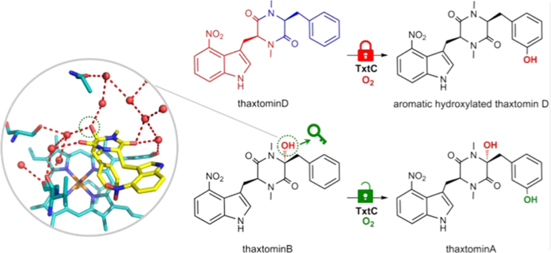 能垒：概念、计算与跨学科应用