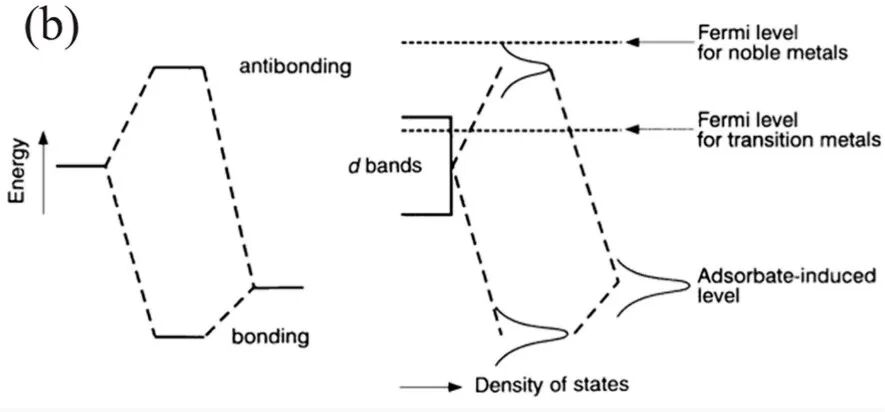 什么是分子轨道？从基础概念（LCAO / 键级）到催化应用（ORR / 单原子）