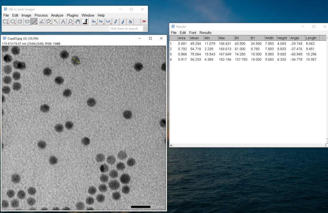 Image J处理电镜图像——颗粒长度测量和统计
