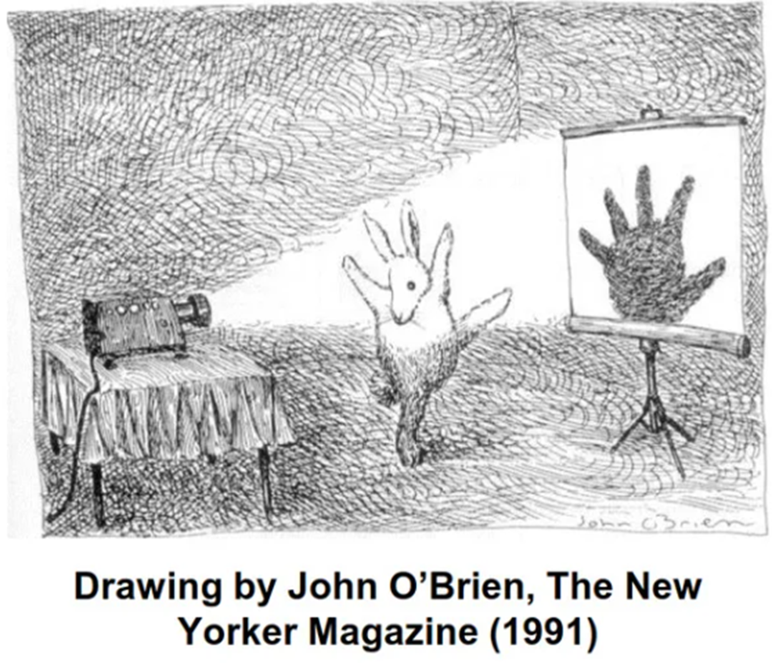 TEM 三维重构：技术流程 + 材料表征实例，解锁纳米尺度新视角