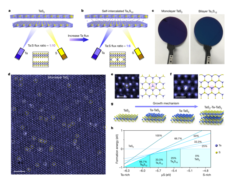 纳米半导体颗粒表面的缺陷有哪些