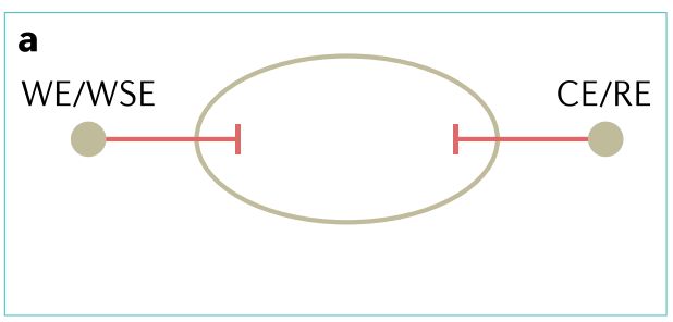 电化学阻抗谱(EIS)完全指南：原理、实验、拟合及在电池/腐蚀中的应用