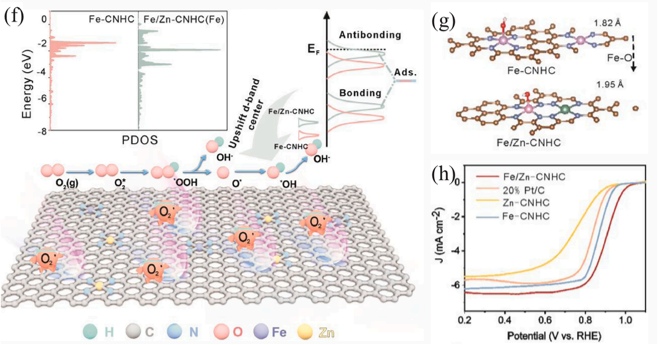 什么是分子轨道？从基础概念（LCAO / 键级）到催化应用（ORR / 单原子）