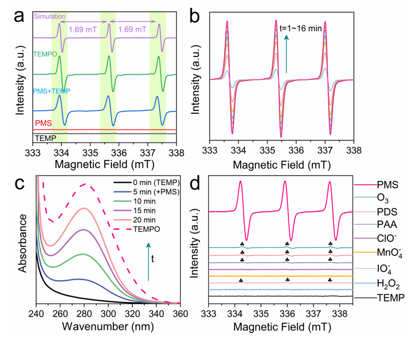 EPR中利用TEMP捕获单线态氧的迷惑点