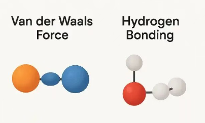 分子间相互作用的核心类型与量化：共价键、氢键、疏水力与范德华力的计算化学解析