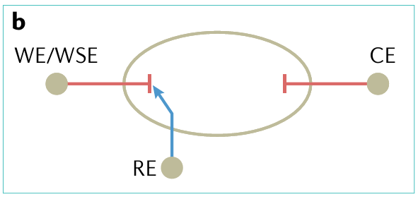 电化学阻抗谱(EIS)完全指南：原理、实验、拟合及在电池/腐蚀中的应用
