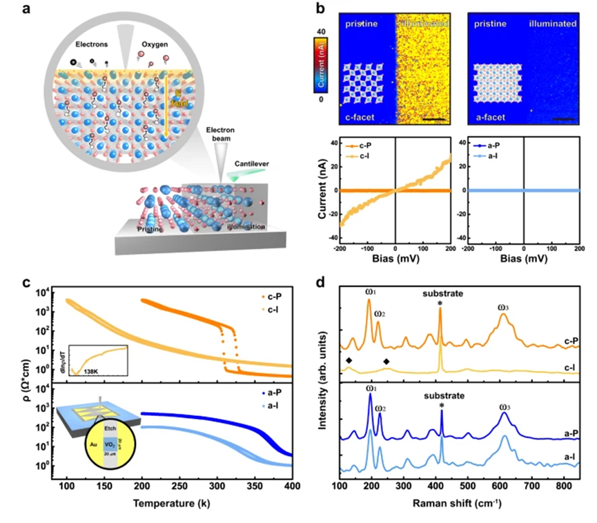 材料的内建电场和氧空位的相互影响