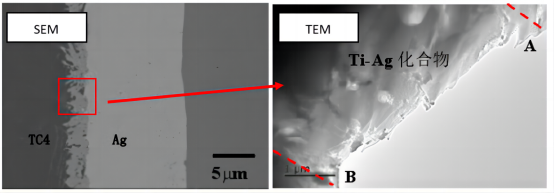 透射电镜和扫描电镜的异同之处