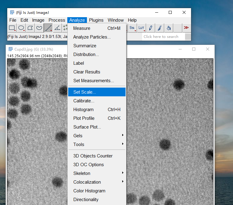 Image J处理电镜图像——颗粒长度测量和统计