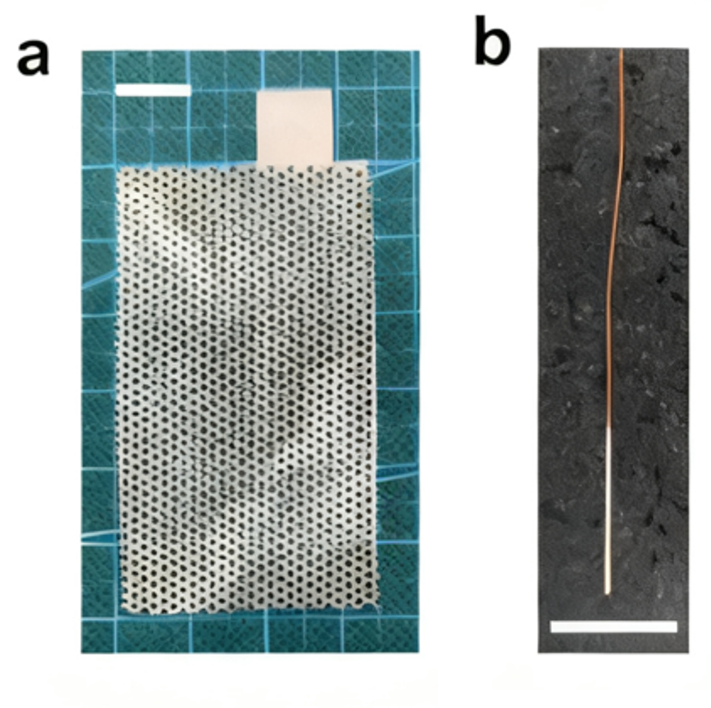 工作电极、对电极、参比电极：电化学三电极系统的功能分工与性能要求对比