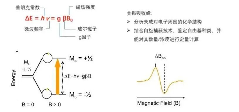 电子顺磁/自旋共振波谱（EPR/ESR）全解析