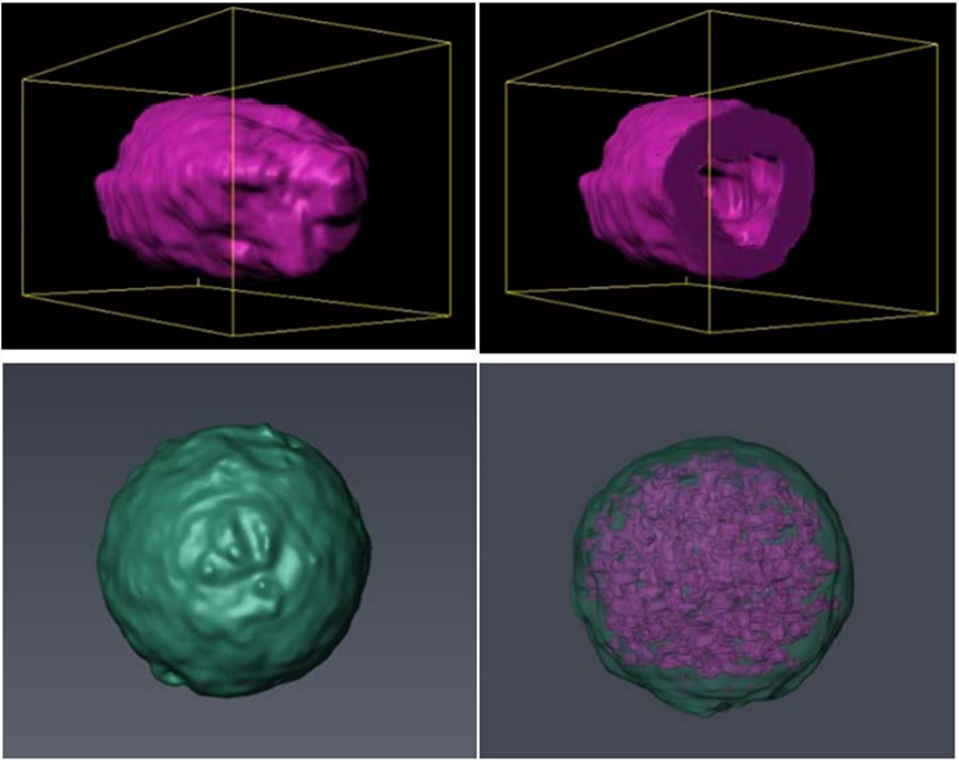 FIB-SEM 三维重构：微观分析的核心技术，多领域应用揭秘