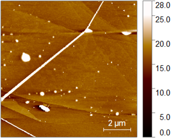 什么是“尖端放电效应”：定义公式、多尺度测量模拟及催化传质原子操控实践