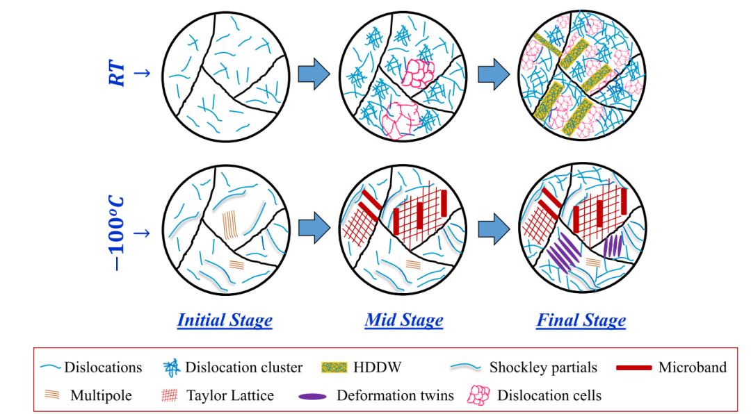 TEM文献案例分享：高熵合金层错能低温测量重大发现