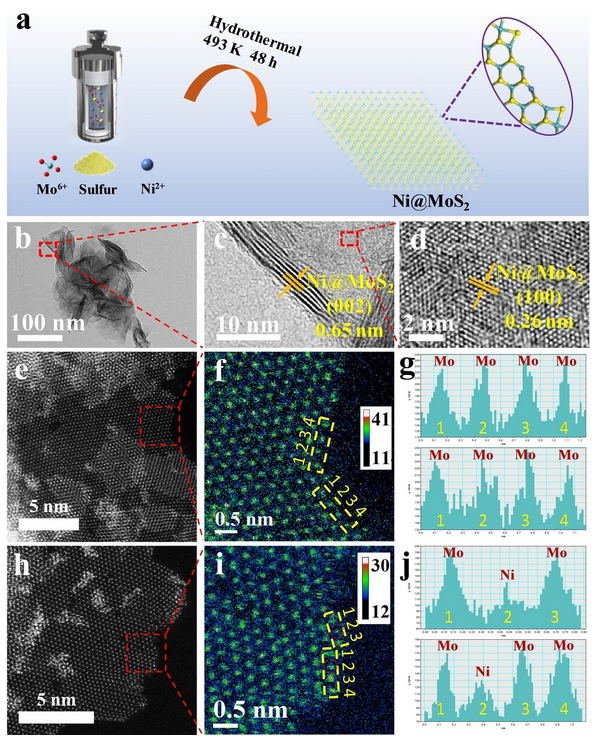 硫空位（SV）的定义、结构、构筑策略、表征以及若干应用的介绍