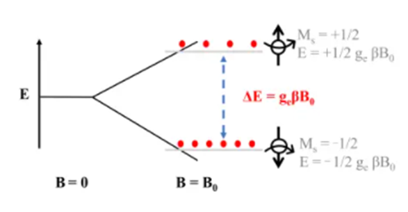 电子顺磁共振技术（EPR）：原理、测试与数据分析及避坑点
