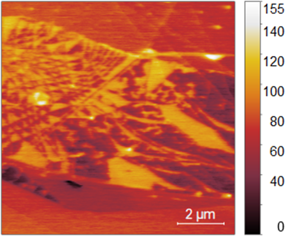 什么是“尖端放电效应”：定义公式、多尺度测量模拟及催化传质原子操控实践