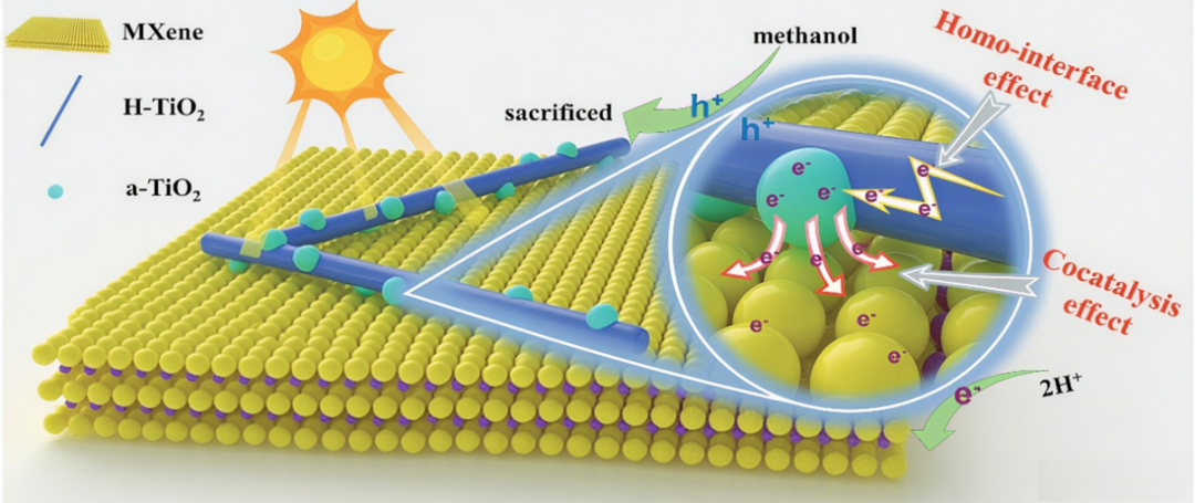 什么是界面调控？从掺杂/应变/异质结/空位到光催化与热传导的应用解析