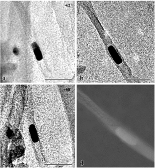 TEM 三维重构：技术流程 + 材料表征实例，解锁纳米尺度新视角