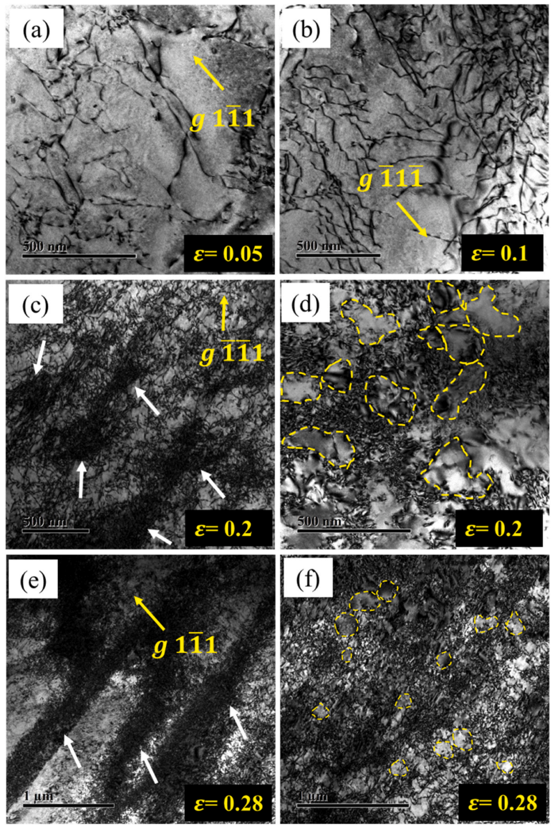 TEM文献案例分享：高熵合金层错能低温测量重大发现