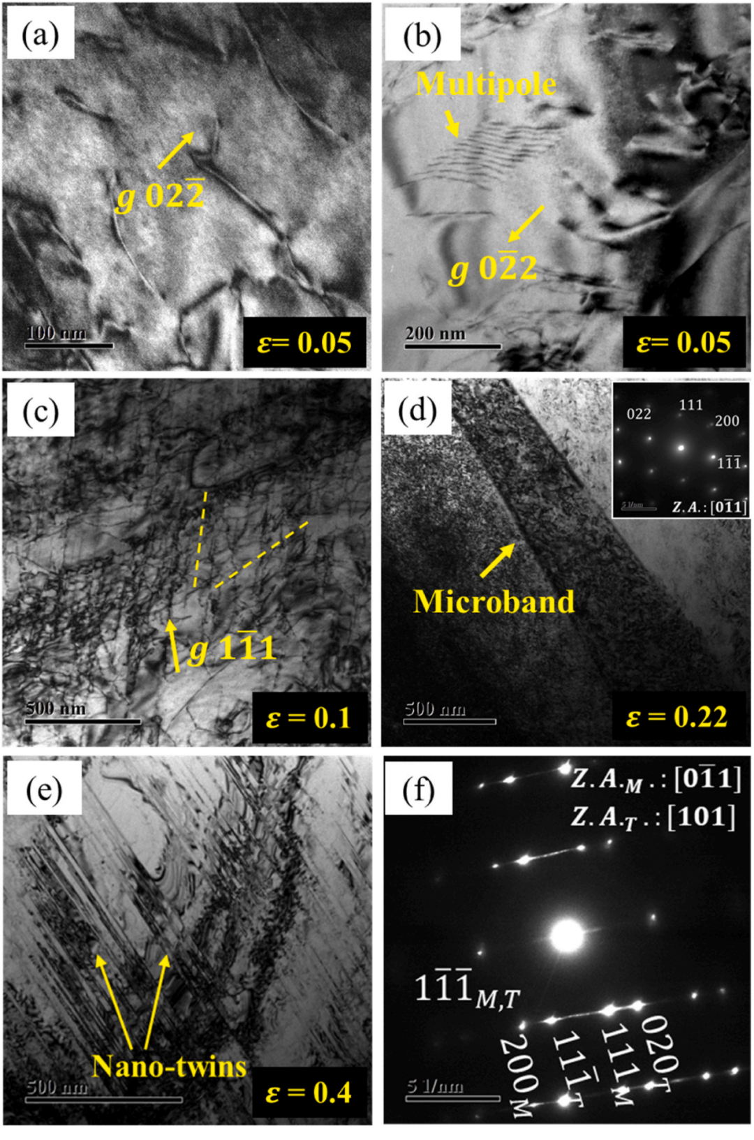 TEM文献案例分享：高熵合金层错能低温测量重大发现
