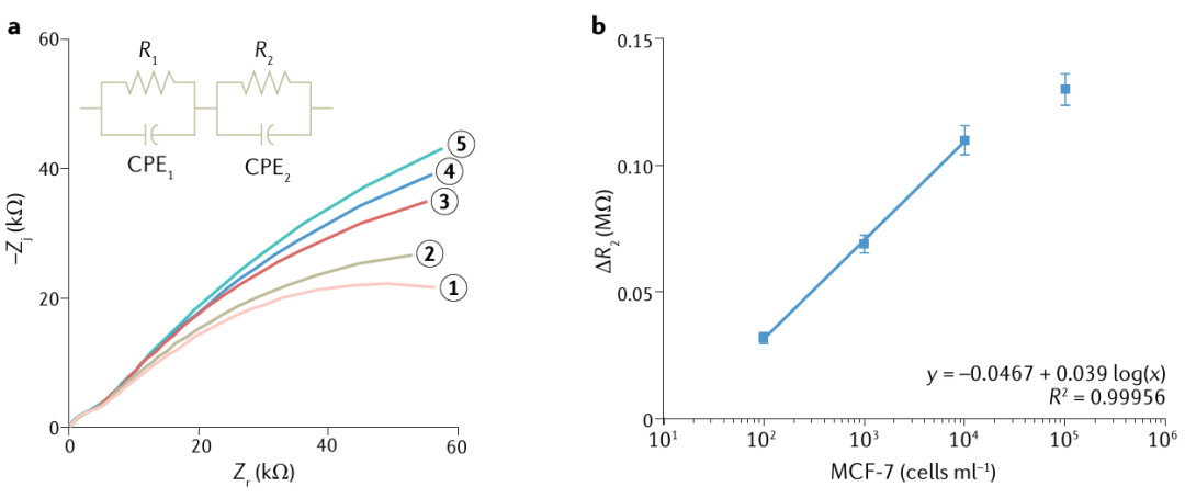 电化学阻抗谱(EIS)完全指南：原理、实验、拟合及在电池/腐蚀中的应用