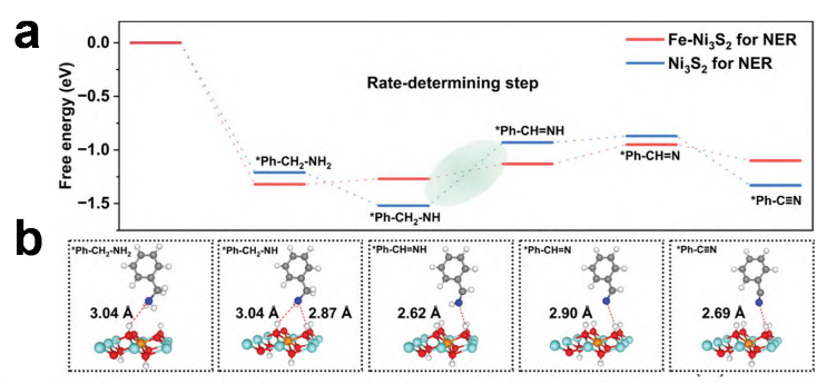 什么是界面调控？从掺杂/应变/异质结/空位到光催化与热传导的应用解析
