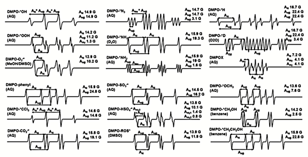 电子顺磁共振技术（EPR）：原理、测试与数据分析及避坑点