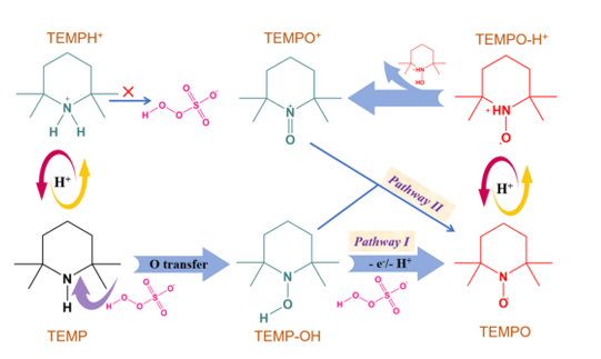 EPR中利用TEMP捕获单线态氧的迷惑点