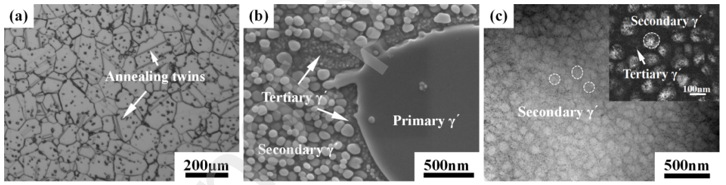 文献案例分享：合金纳米孪晶-位错交互作用研究