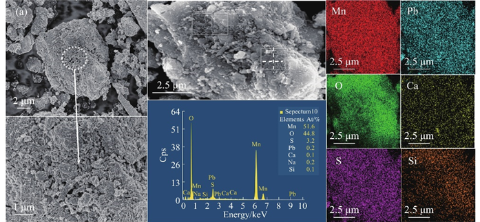 材料分析必备工具｜EDS 能谱仪：原理、应用与实战问题指南