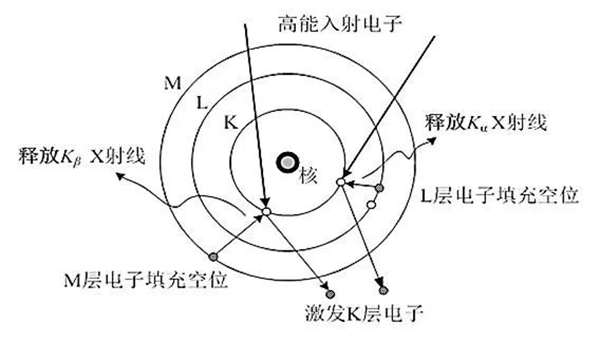 材料分析必备工具｜EDS 能谱仪：原理、应用与实战问题指南