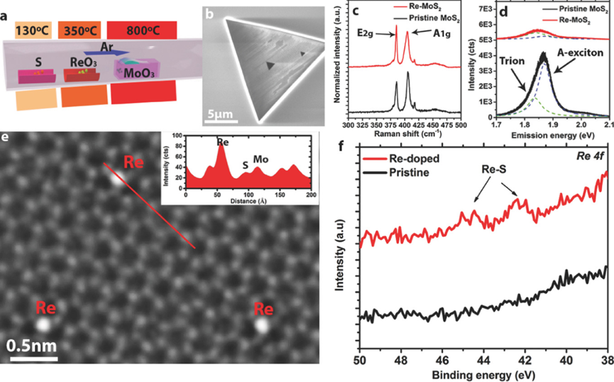 硫空位（SV）的定义、结构、构筑策略、表征以及若干应用的介绍