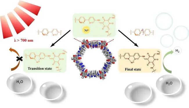 如何将活性物种负载到微孔材料的孔道内部