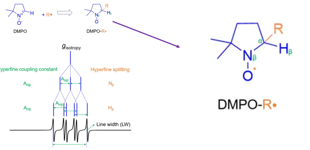 电子顺磁共振技术（EPR）：原理、测试与数据分析及避坑点