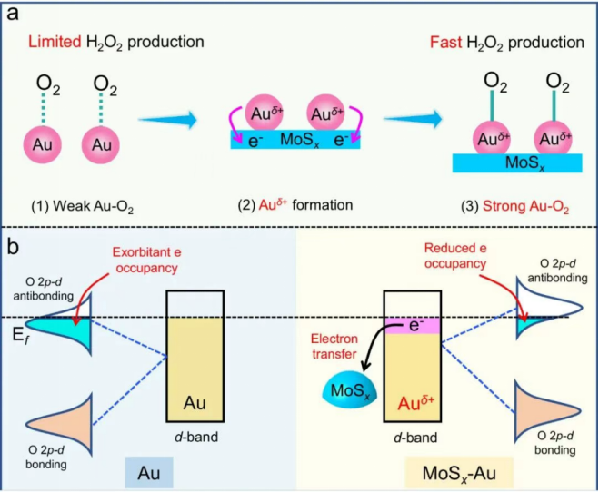 d带中心 vs p带中心 ！