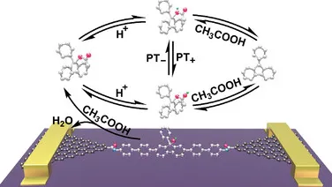 什么是电子隧穿和质子隧穿？